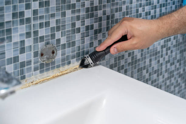 Best Mold Cleaning Services  in Westhampton Beach, NY